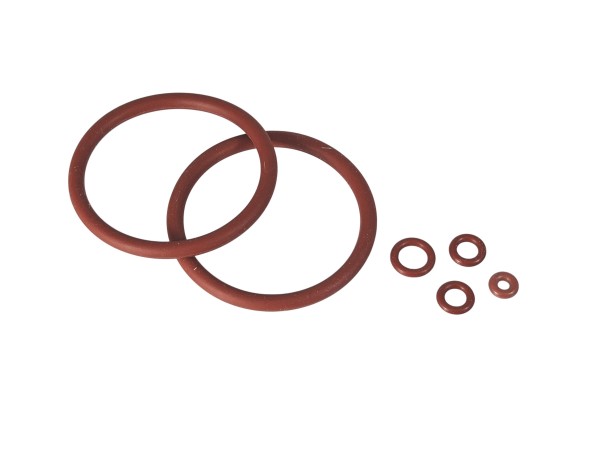 Brüherüberholset N&amp;W Z4000 D46